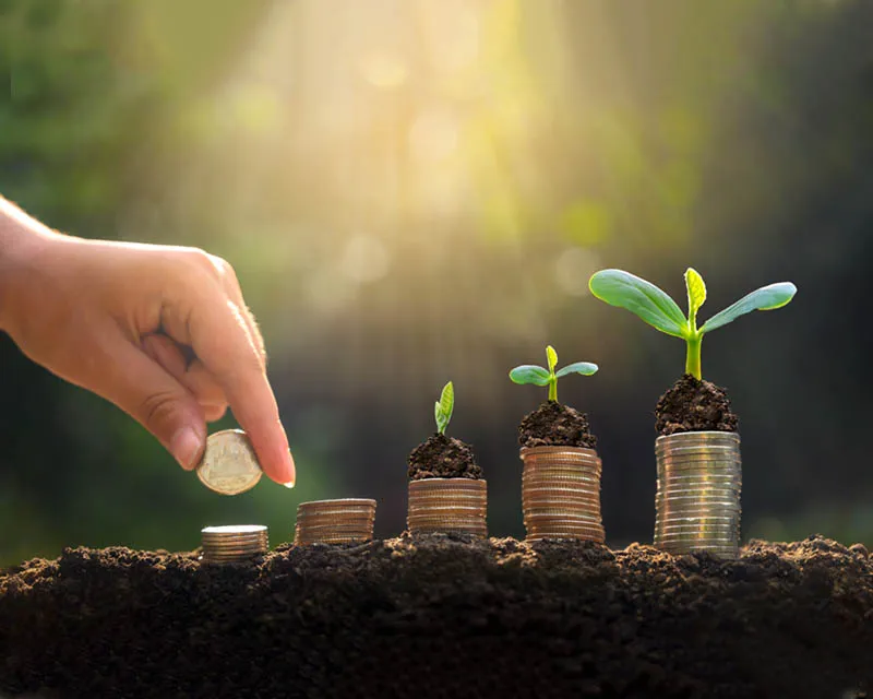 LOCAL INITIATIVE FOR SUSTAINABLE DEVELOPMENT (LISUDEV)